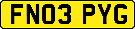FN03PYG