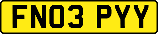 FN03PYY