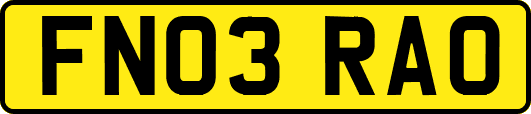 FN03RAO