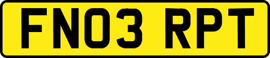 FN03RPT