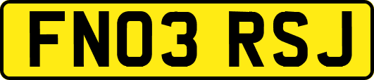 FN03RSJ