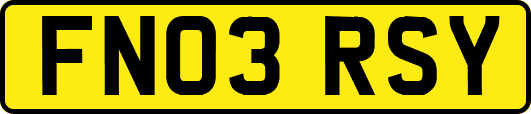 FN03RSY