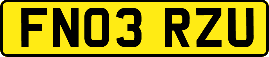 FN03RZU