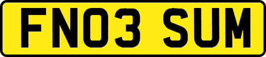 FN03SUM