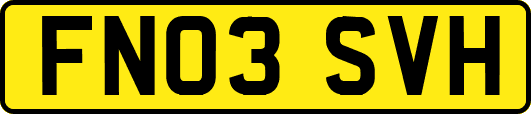 FN03SVH