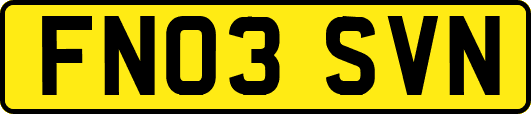FN03SVN