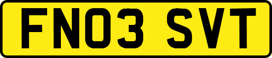 FN03SVT