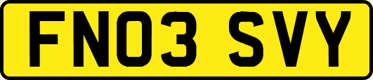 FN03SVY