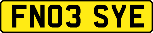 FN03SYE