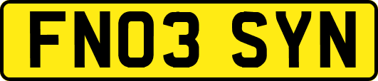 FN03SYN