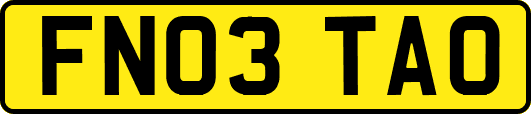 FN03TAO