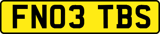 FN03TBS