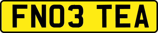 FN03TEA