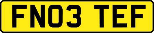 FN03TEF
