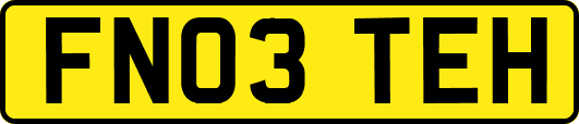 FN03TEH