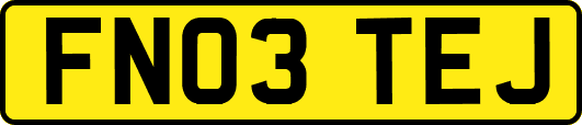 FN03TEJ