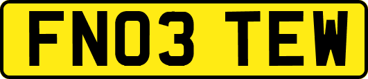 FN03TEW