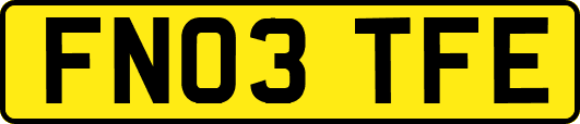 FN03TFE