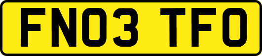 FN03TFO
