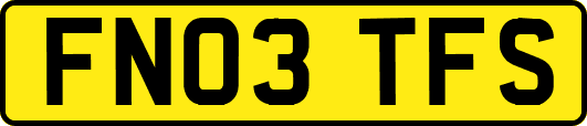FN03TFS