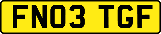 FN03TGF