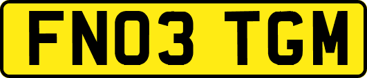 FN03TGM