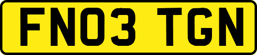 FN03TGN