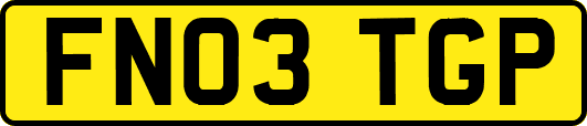 FN03TGP