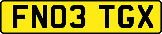 FN03TGX