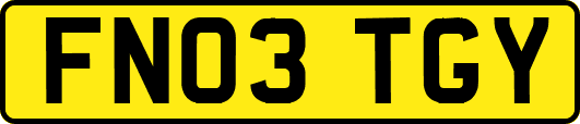 FN03TGY