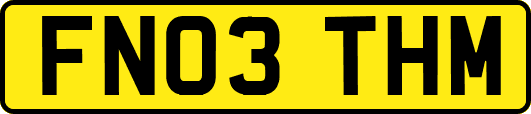 FN03THM