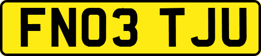 FN03TJU