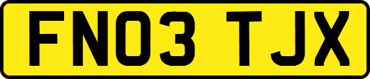 FN03TJX