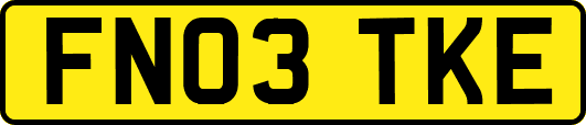 FN03TKE