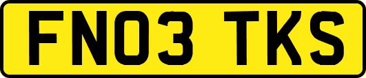 FN03TKS