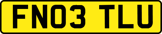 FN03TLU