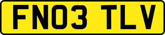 FN03TLV