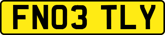 FN03TLY