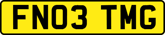 FN03TMG