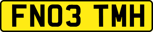 FN03TMH