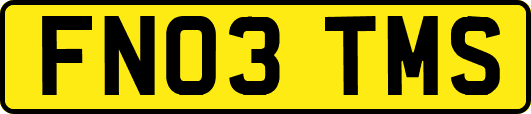 FN03TMS