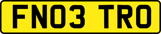 FN03TRO