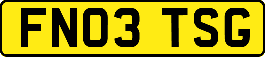 FN03TSG