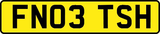 FN03TSH