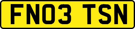 FN03TSN