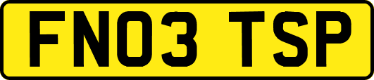 FN03TSP