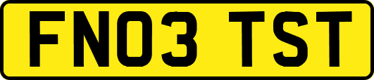 FN03TST