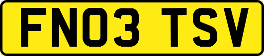 FN03TSV