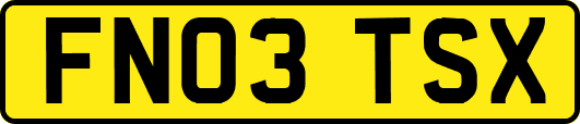 FN03TSX