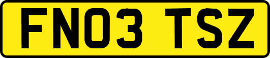 FN03TSZ